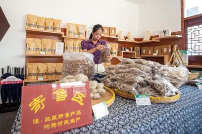 詩意田園“走”出深山，寄賣服務(wù)鋪就文化致富路